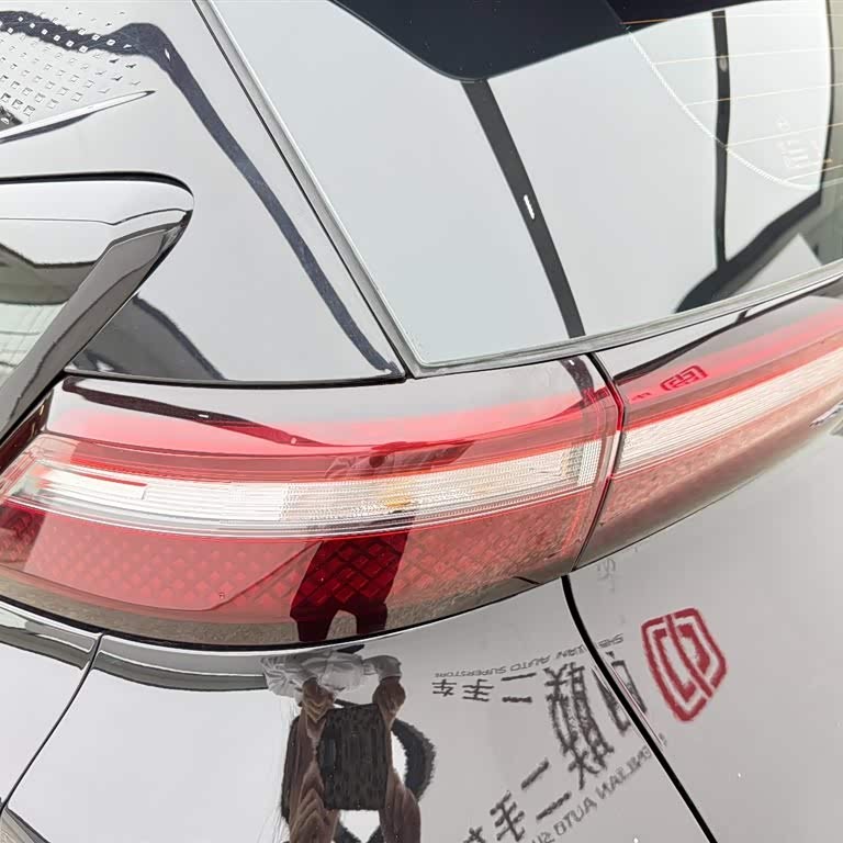 Seagull 2024 Glory Edition 305km Freedom Edition Seagull 2024 Glory Edition 305km Freedom Edition