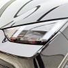Seagull 2024 Glory Edition 305km Freedom Edition