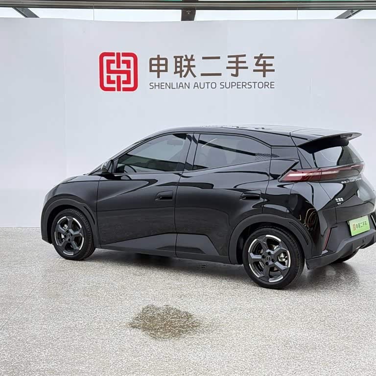 Seagull 2024 Glory Edition 305km Freedom Edition Seagull 2024 Glory Edition 305km Freedom Edition