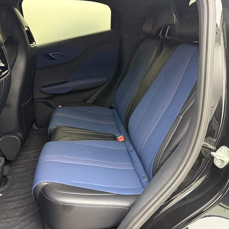 Seagull 2024 Glory Edition 305km Freedom Edition Seagull 2024 Glory Edition 305km Freedom Edition