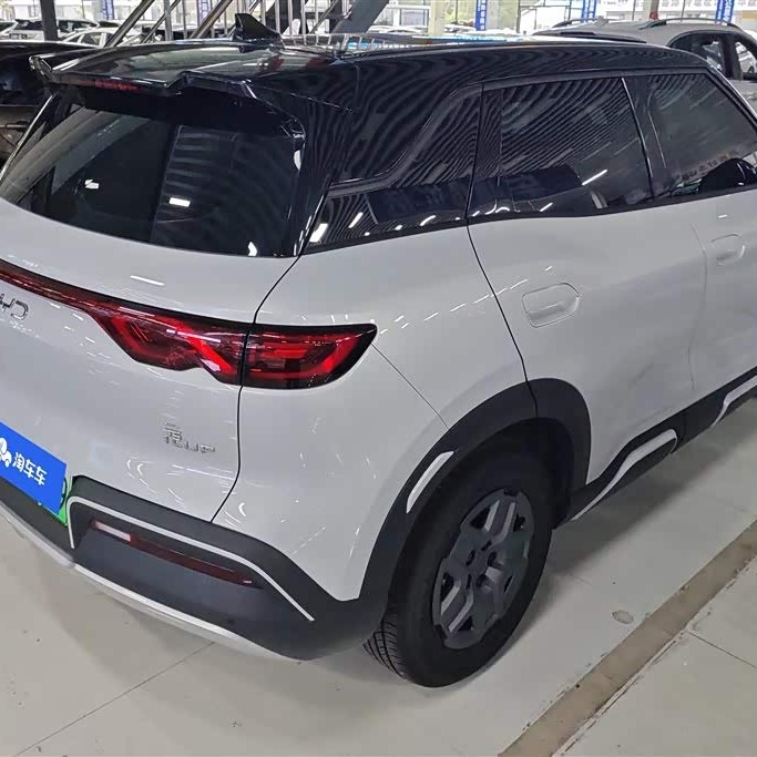 Yuan UP 2024 401KM Vitality Edition Yuan UP 2024 401KM Vitality Edition