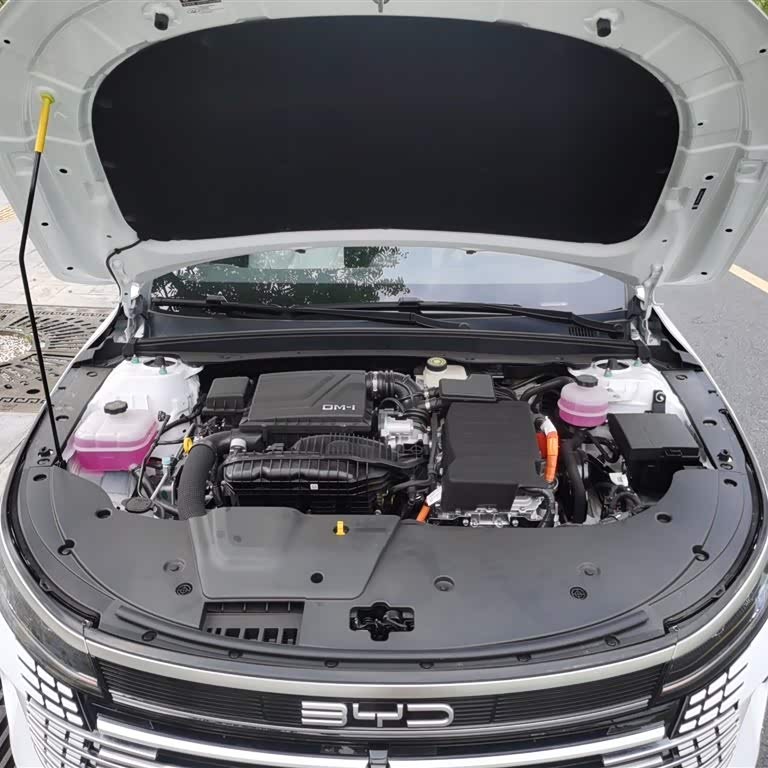 Destroyer 05 2024 Glory Edition DM-i 55KM Luxury Model Destroyer 05 2024 Glory Edition DM-i 55KM Luxury Model