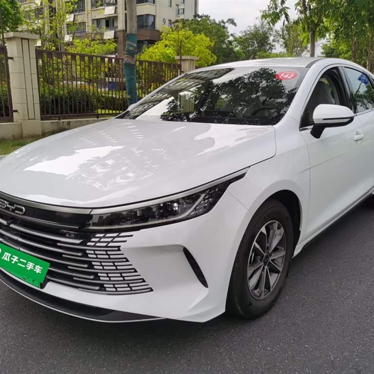 Destroyer 05 2024 Glory Edition DM-i 55KM Luxury Model Destroyer 05 2024 Glory Edition DM-i 55KM Luxury Model
