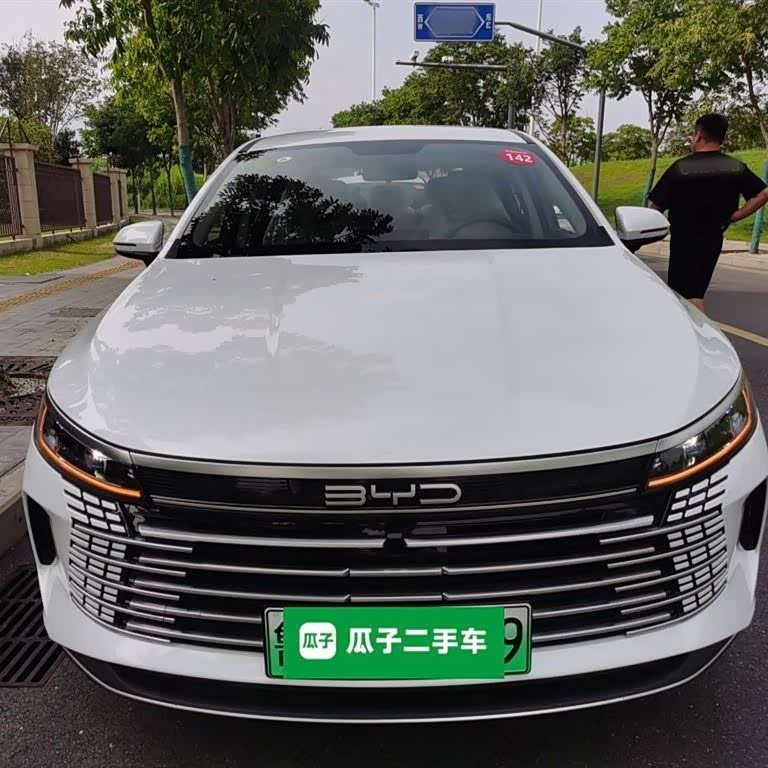 Destroyer 05 2024 Glory Edition DM-i 55KM Luxury Model Destroyer 05 2024 Glory Edition DM-i 55KM Luxury Model