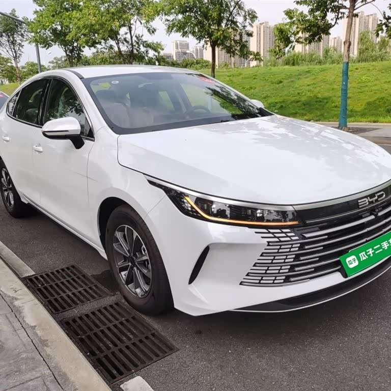 Destroyer 05 2024 Glory Edition DM-i 55KM Luxury Model Destroyer 05 2024 Glory Edition DM-i 55KM Luxury Model