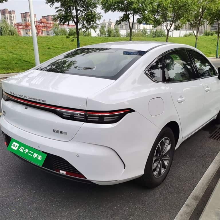 Destroyer 05 2024 Glory Edition DM-i 55KM Luxury Model Destroyer 05 2024 Glory Edition DM-i 55KM Luxury Model