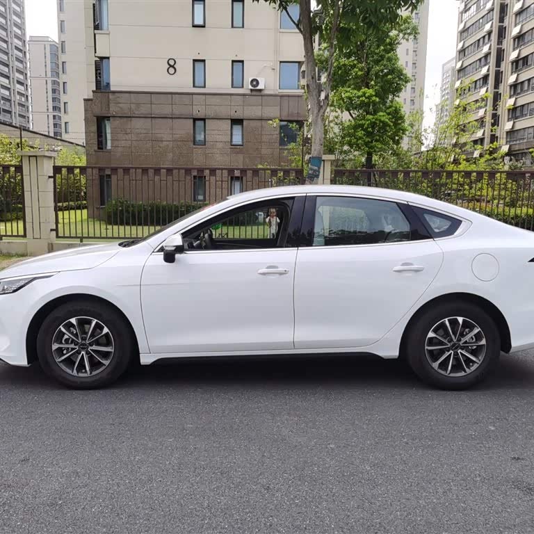Destroyer 05 2024 Glory Edition DM-i 55KM Luxury Model Destroyer 05 2024 Glory Edition DM-i 55KM Luxury Model