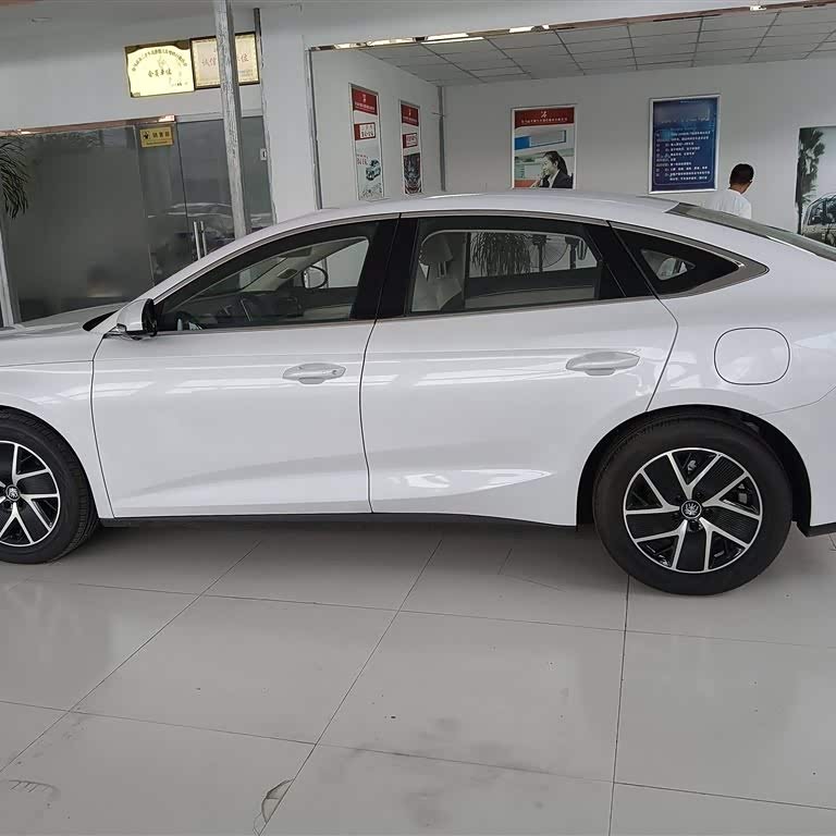Qin L 2024 DM-i 80KM Beyond Edition Qin L 2024 DM-i 80KM Beyond Edition