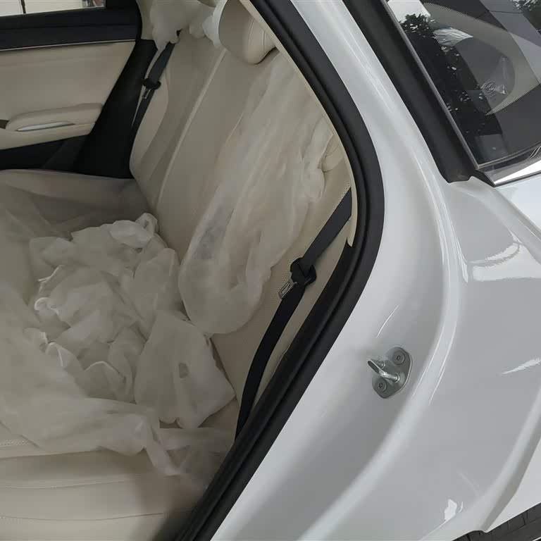 Qin L 2024 DM-i 80KM Beyond Edition Qin L 2024 DM-i 80KM Beyond Edition