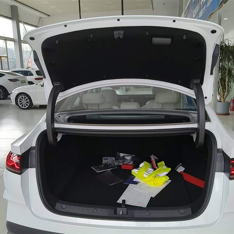 Qin L 2024 DM-i 80KM Beyond Edition Qin L 2024 DM-i 80KM Beyond Edition