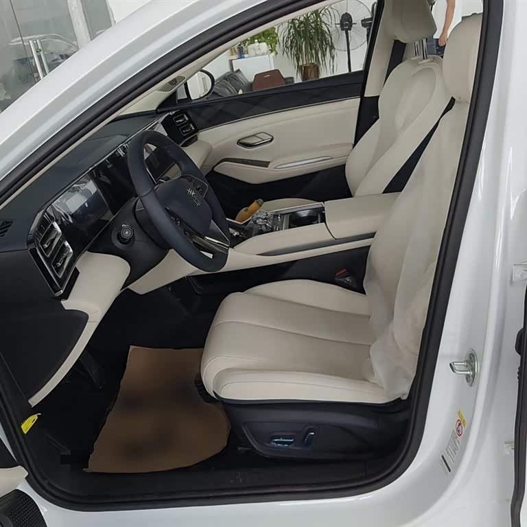 Qin L 2024 DM-i 80KM Beyond Edition Qin L 2024 DM-i 80KM Beyond Edition
