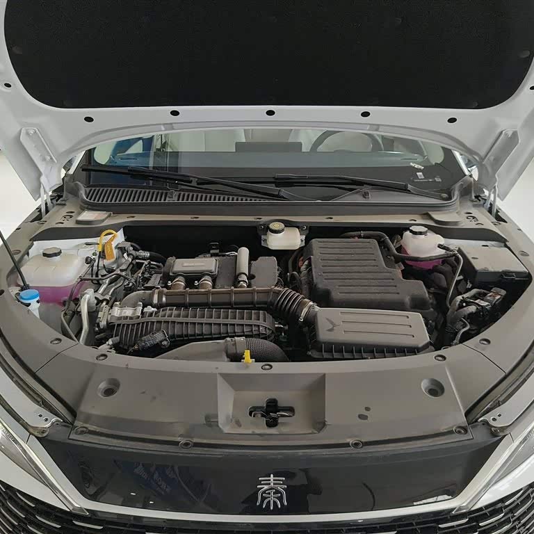 Qin L 2024 DM-i 80KM Beyond Edition Qin L 2024 DM-i 80KM Beyond Edition