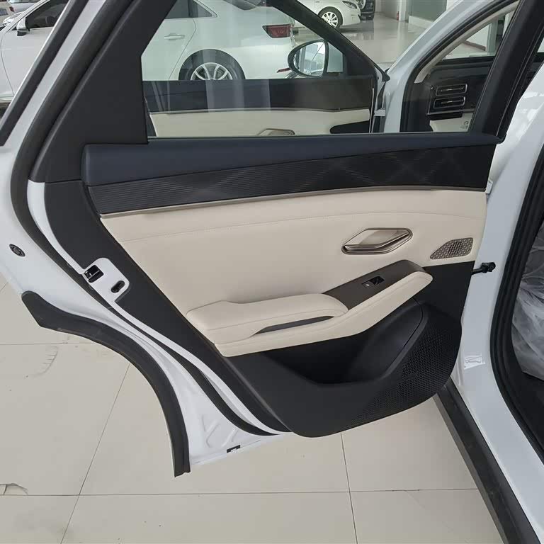 Qin L 2024 DM-i 80KM Beyond Edition Qin L 2024 DM-i 80KM Beyond Edition