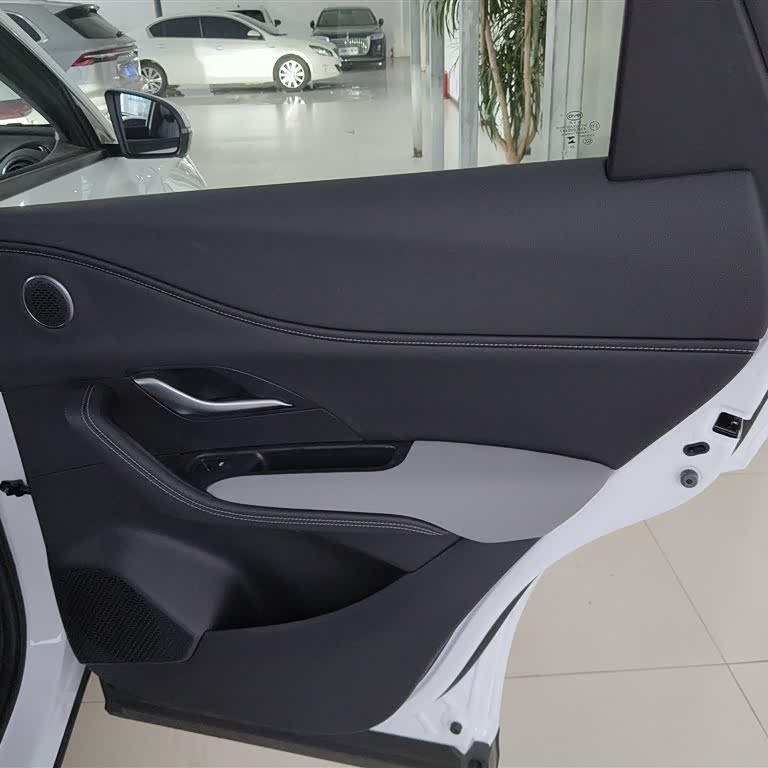 Sea Lion 05 DM-i 2025 DM-i 115KM Premium Edition Sea Lion 05 DM-i 2025 DM-i 115KM Premium Edition