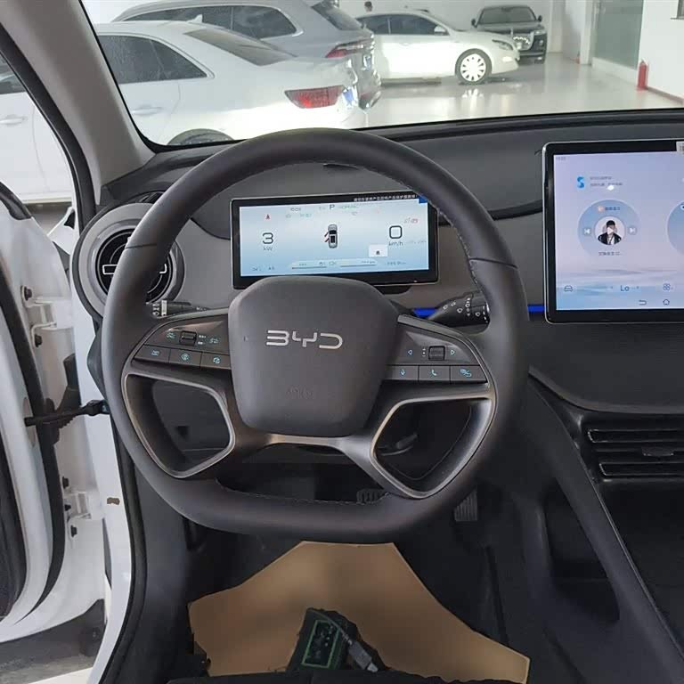 Sea Lion 05 DM-i 2025 DM-i 115KM Premium Edition Sea Lion 05 DM-i 2025 DM-i 115KM Premium Edition