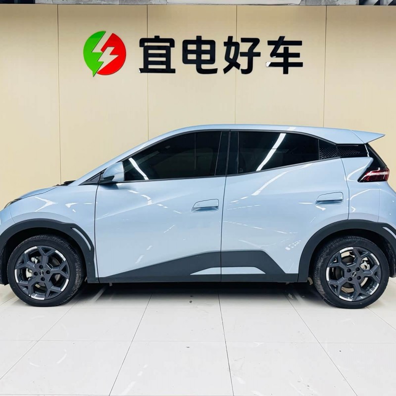 Seagull 2025 305km Freedom Edition Seagull 2025 305km Freedom Edition