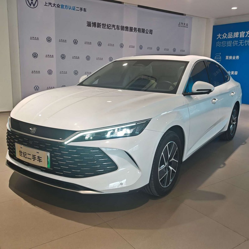 Qin L 2024 DM-i 120KM Beyond Edition