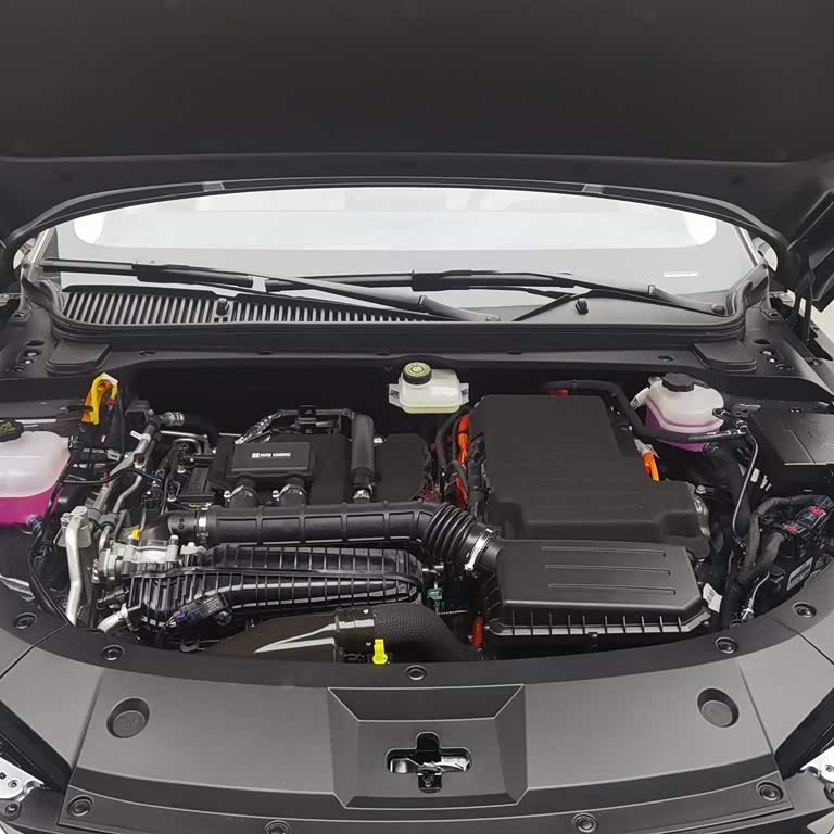 Qin L 2024 DM-i 80KM Leading Edition Qin L 2024 DM-i 80KM Leading Edition