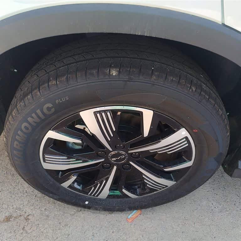 Sea Lion 05 DM-i 2025 DM-i 115KM Premium Edition Sea Lion 05 DM-i 2025 DM-i 115KM Premium Edition