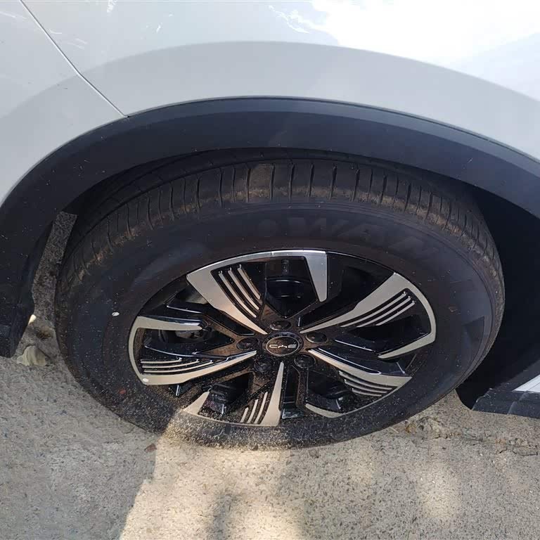 Sea Lion 05 DM-i 2025 DM-i 115KM Premium Edition Sea Lion 05 DM-i 2025 DM-i 115KM Premium Edition