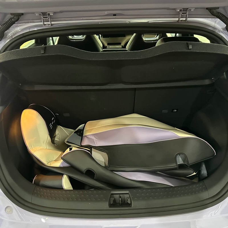 Dolphin 2023 420km Fashion Edition Dolphin 2023 420km Fashion Edition