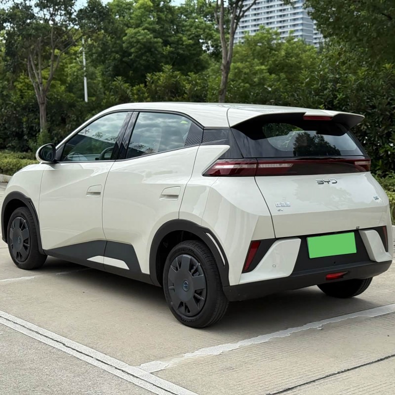 Seagull 2025 305km Vitality Edition Seagull 2025 305km Vitality Edition