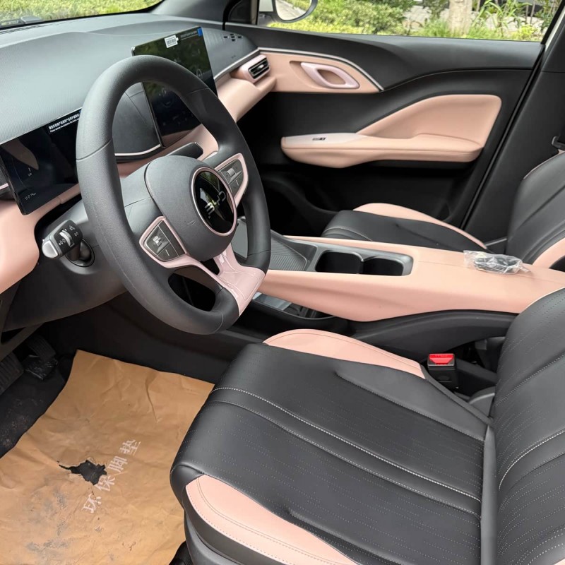 Seagull 2025 305km Vitality Edition Seagull 2025 305km Vitality Edition