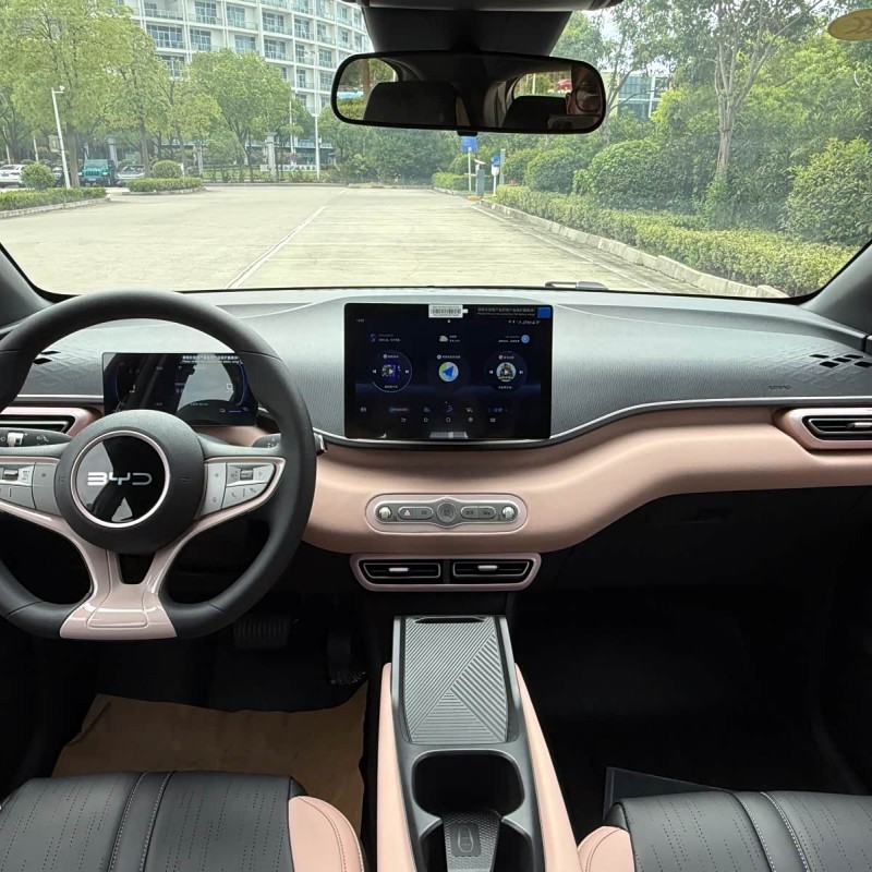 Seagull 2025 305km Vitality Edition Seagull 2025 305km Vitality Edition