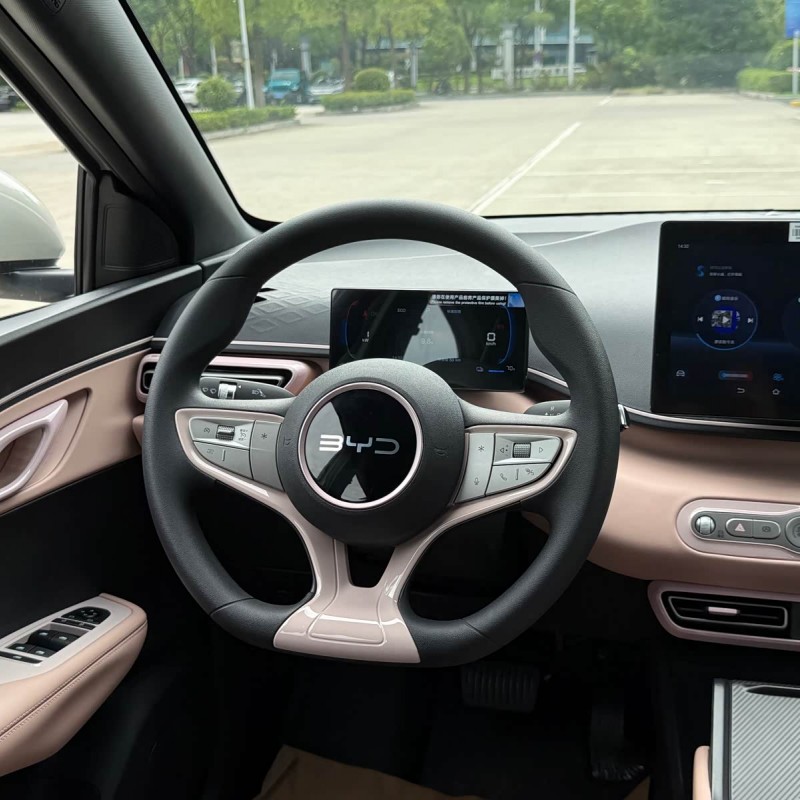 Seagull 2025 305km Vitality Edition Seagull 2025 305km Vitality Edition