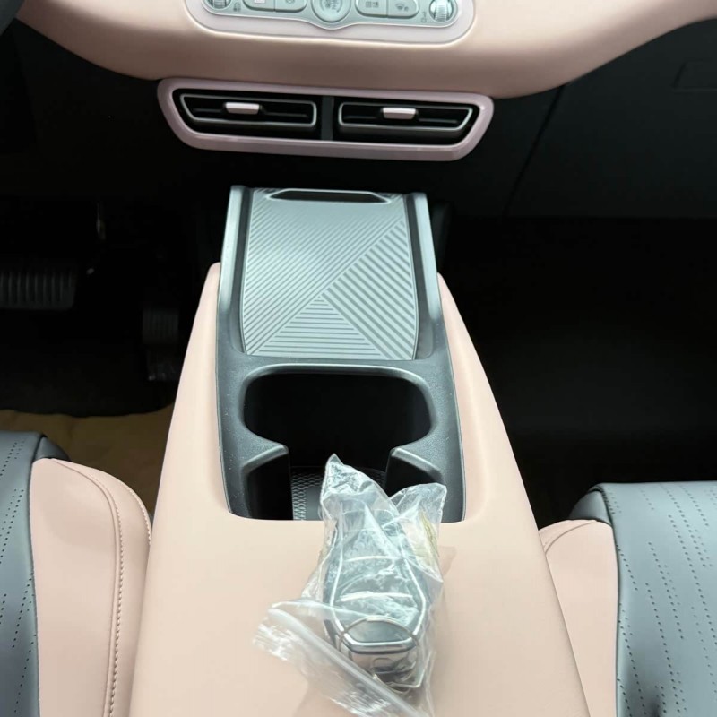 Seagull 2025 305km Vitality Edition Seagull 2025 305km Vitality Edition