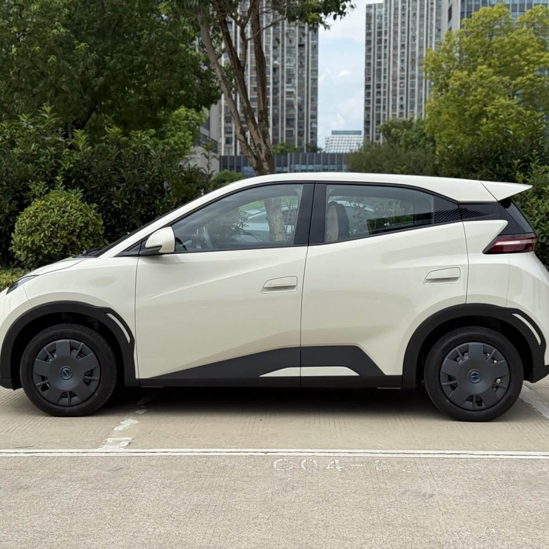 Seagull 2025 305km Vitality Edition Seagull 2025 305km Vitality Edition