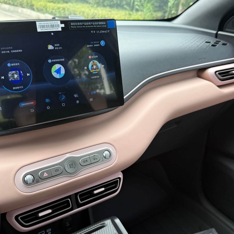 Seagull 2025 305km Vitality Edition Seagull 2025 305km Vitality Edition