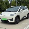 Seagull 2025 305km Vitality Edition