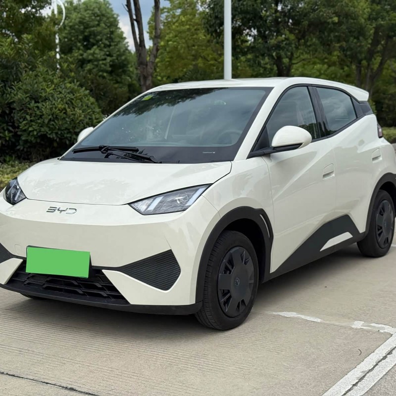 Seagull 2025 305km Vitality Edition Seagull 2025 305km Vitality Edition