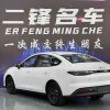 Seal 05 DM-i 2025 DM-i Intelligent Driving Edition 55KM Luxury Model