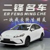 Seal 05 DM-i 2025 DM-i Intelligent Driving Edition 55KM Luxury Model