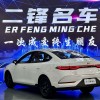 Qin PLUS 2025 DM-i Intelligent Driving Edition 55KM Leading Edition