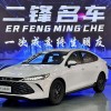 Qin PLUS 2025 DM-i Intelligent Driving Edition 55KM Leading Edition