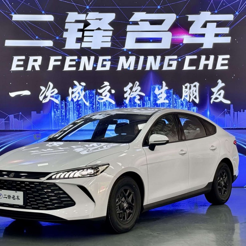 Qin PLUS 2025 DM-i Intelligent Driving Edition 55KM Leading Edition