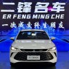 Qin PLUS 2025 DM-i Intelligent Driving Edition 55KM Leading Edition