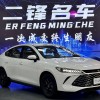 Qin PLUS 2025 DM-i Intelligent Driving Edition 55KM Leading Edition