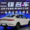 Qin PLUS 2025 DM-i Intelligent Driving Edition 55KM Leading Edition