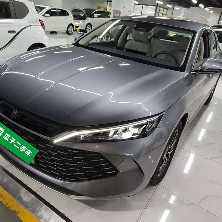 Qin L 2024 DM-i 120KM Beyond Edition