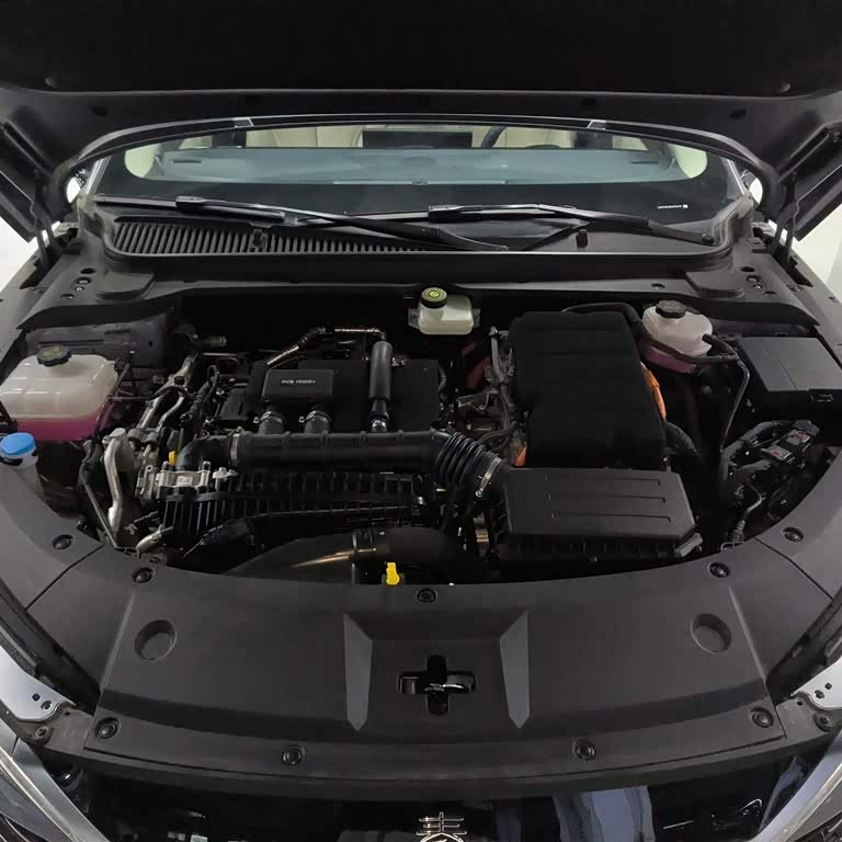 Qin L 2024 DM-i 120KM Beyond Edition Qin L 2024 DM-i 120KM Beyond Edition