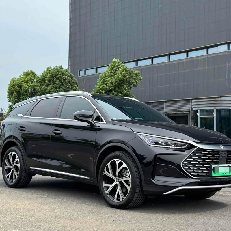 Tang New Energy 2025 DM-i 115KM Premium Edition Tang New Energy 2025 DM-i 115KM Premium Edition