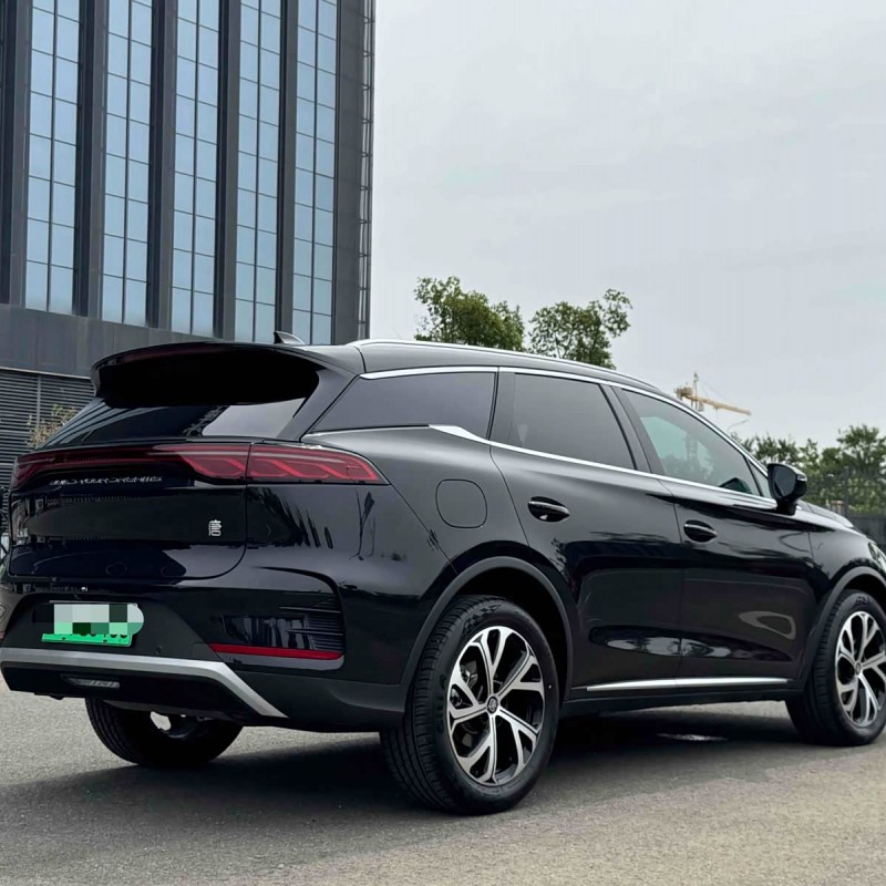 Tang New Energy 2025 DM-i 115KM Premium Edition Tang New Energy 2025 DM-i 115KM Premium Edition