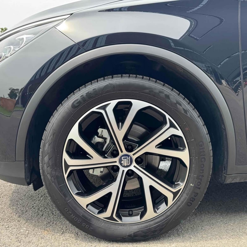 Tang New Energy 2025 DM-i 115KM Premium Edition Tang New Energy 2025 DM-i 115KM Premium Edition