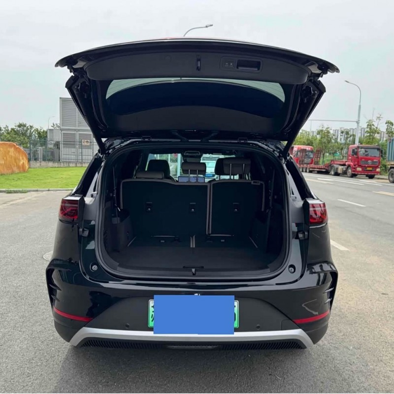 Tang New Energy 2025 DM-i 115KM Premium Edition Tang New Energy 2025 DM-i 115KM Premium Edition
