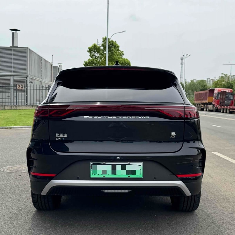 Tang New Energy 2025 DM-i 115KM Premium Edition Tang New Energy 2025 DM-i 115KM Premium Edition