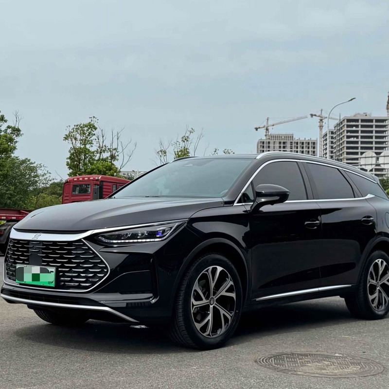 Tang New Energy 2025 DM-i 115KM Premium Edition Tang New Energy 2025 DM-i 115KM Premium Edition